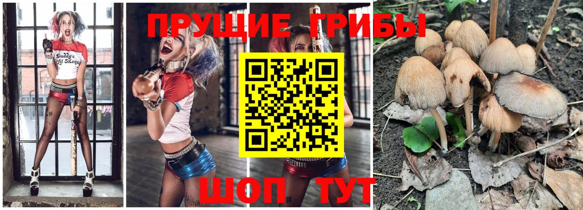 Псилоцибиновые грибы Psilocybine cubensis Острогожск